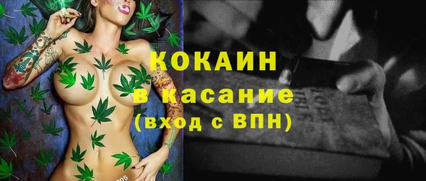 трава Аркадак