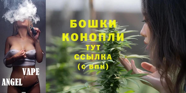 трава Аркадак