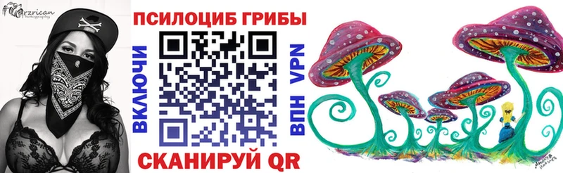 Псилоцибиновые грибы Psilocybine cubensis Балабаново