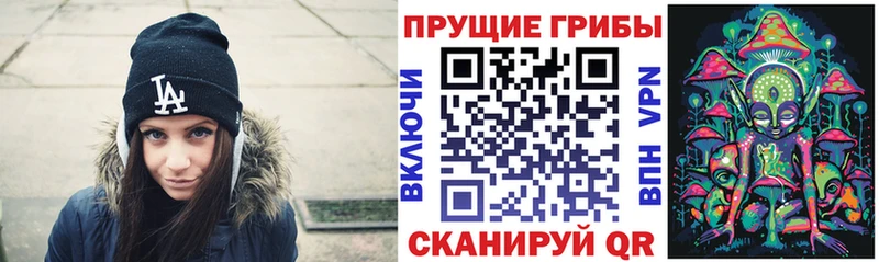Купить где  Балабаново  Псилоцибиновые грибы прущие грибы 